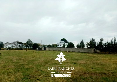 Quarter Acre Plot with Garden
