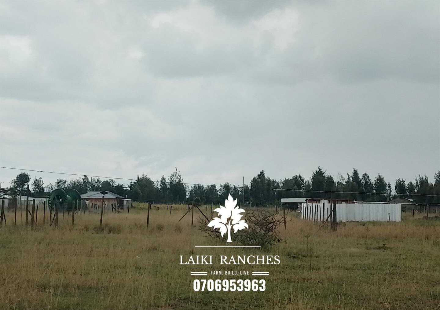 Quarter Acre Plot with Garden