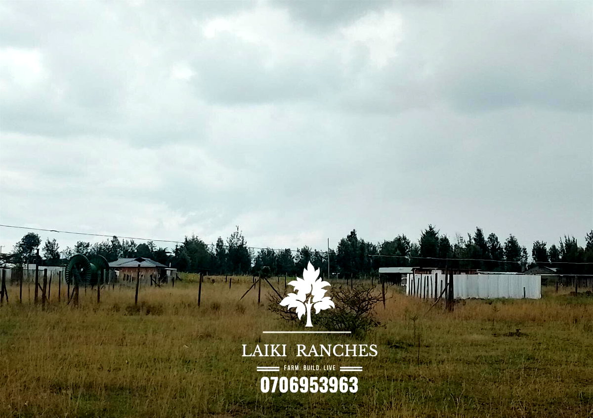 Quarter Acre Plot with Garden