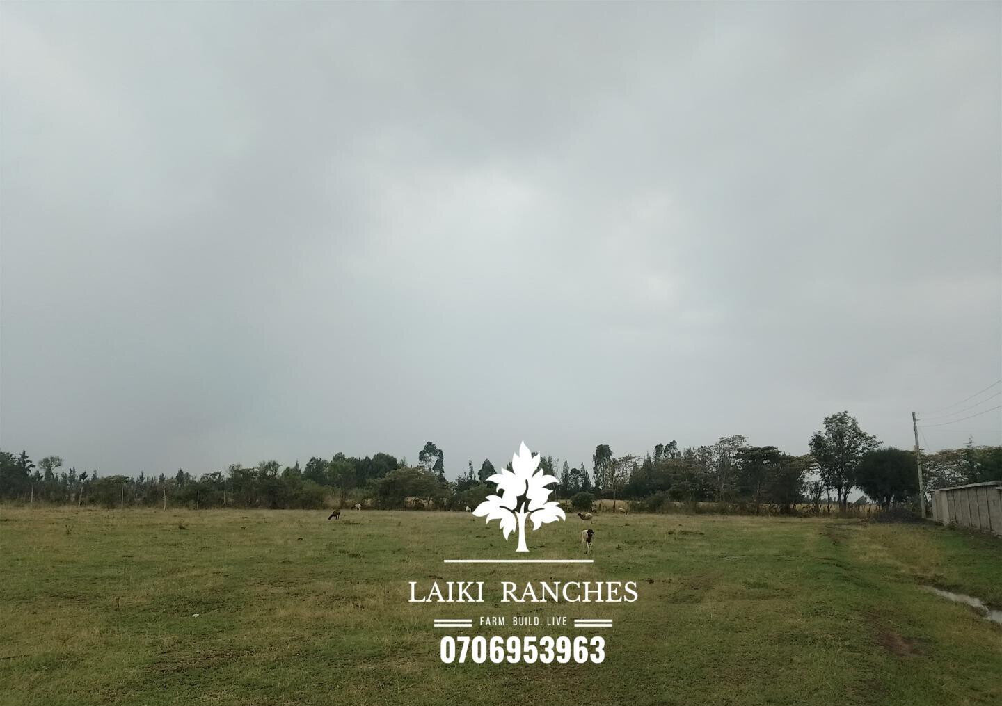 Quarter Acre Plot with Garden