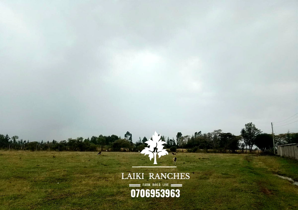 Quarter Acre Plot with Garden