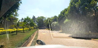 Runda Gardens 1/2 Acre. - Image 4