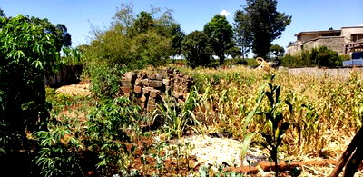 Runda Gardens 1/2 Acre. - Image 3