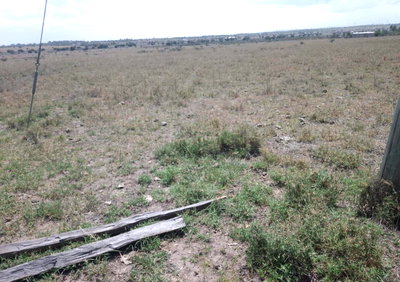 2.5-Acre Garden Plot for KSh 2.5M