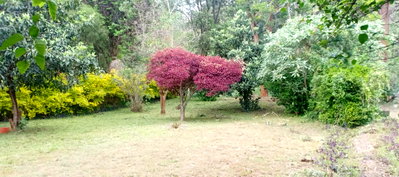 3/4 Acre Plot at KSh 200M