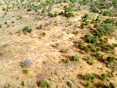 Quick Sale 140 Acres Maili Tisa - Image 3
