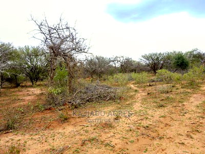Quick Sale 140 Acres Maili Tisa - Image 1