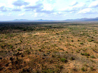 Quick Sale 140 Acres Maili Tisa - Image 10