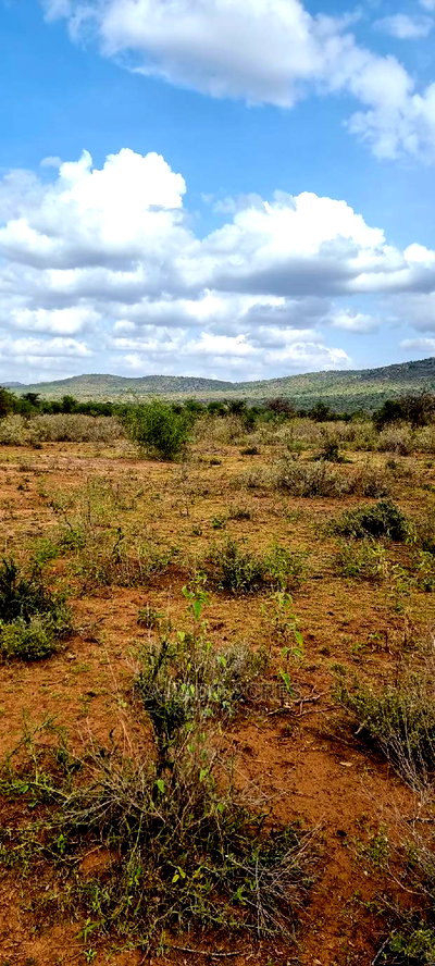 Quick Sale 140 Acres Maili Tisa - Image 6