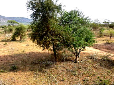 Quick Sale 140 Acres Maili Tisa - Image 8