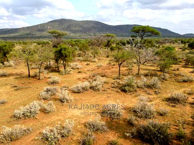 Quick Sale 140 Acres Maili Tisa - Image 9