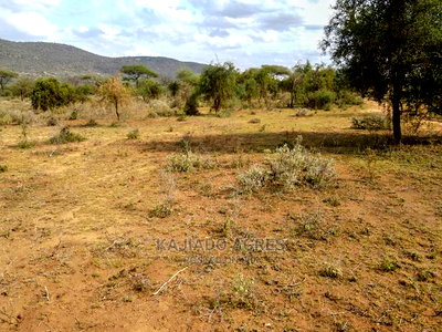 Quick Sale 140 Acres Maili Tisa - Image 11