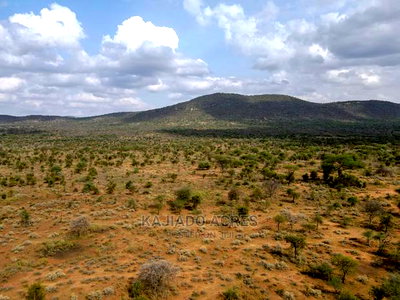 Quick Sale 140 Acres Maili Tisa - Image 7
