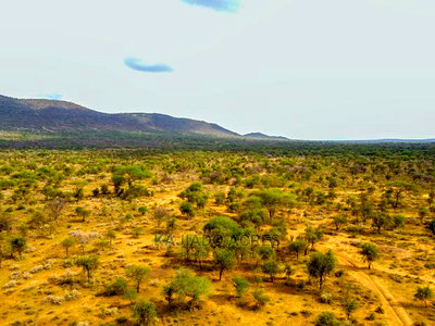 Quick Sale 140 Acres Maili Tisa - Image 4