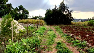 Build Your Dream Home in Rironi Kiroe for Only 2,200,000 - Image 2