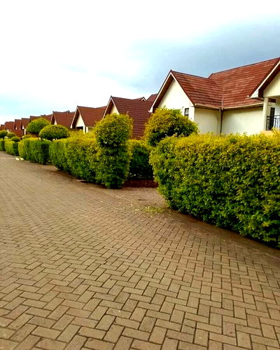 5BR All-Ensuite Villas with Pool & Play Area - Oloolua, Ngong
