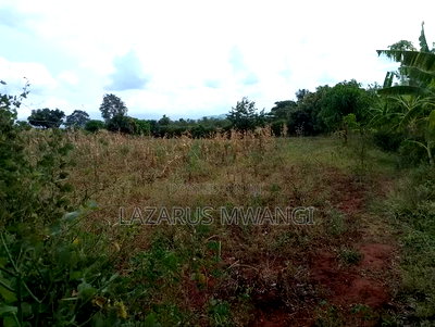 2 Acres of Fertile Land Near River Tana Mwea Embu - Image 7