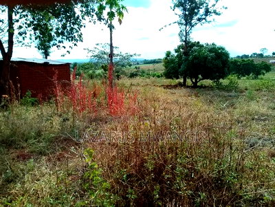 2 Acres of Fertile Land Near River Tana Mwea Embu - Image 8