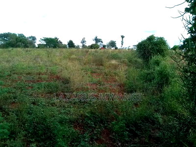2 Acres of Fertile Land Near River Tana Mwea Embu - Image 6
