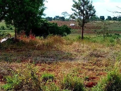 2 Acres of Fertile Land Near River Tana Mwea Embu - Image 2