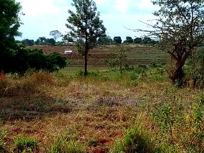 2 Acres of Fertile Land Near River Tana Mwea Embu - Image 4