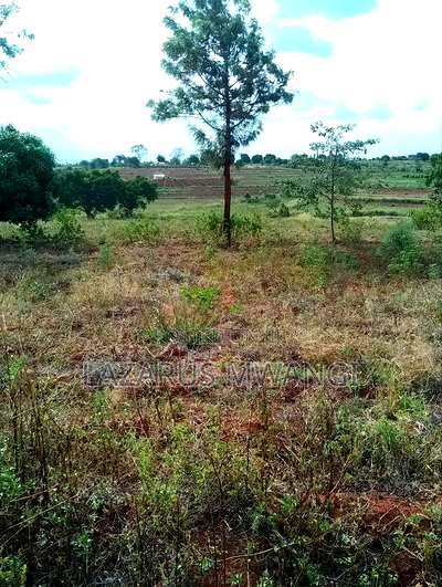 2 Acres of Fertile Land Near River Tana Mwea Embu - Image 5