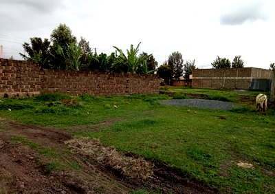 KSh 2.8M Kimbo Plot