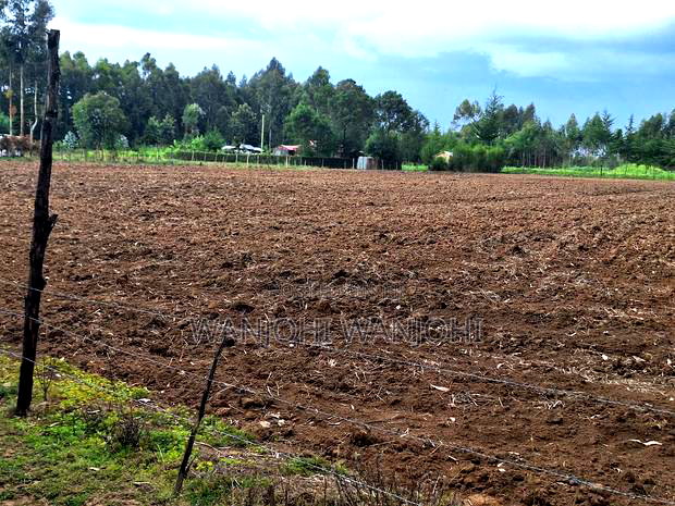 Half Acre Plots in Nyahururu