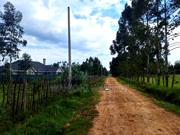 Half Acre Plots in Nyahururu