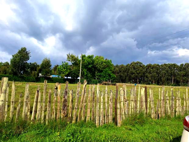 Half Acre Plots in Nyahururu