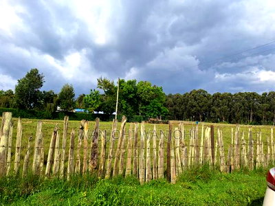 Half Acre Plots in Nyahururu - Image 5