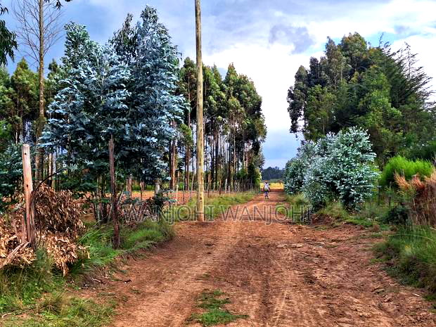 Half Acre Plots in Nyahururu