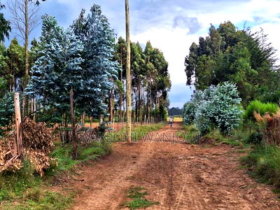 Half Acre Plots in Nyahururu - Image 3