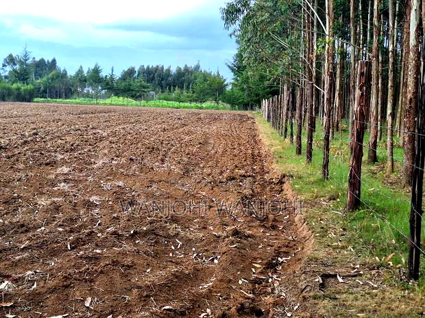 Half Acre Plots in Nyahururu