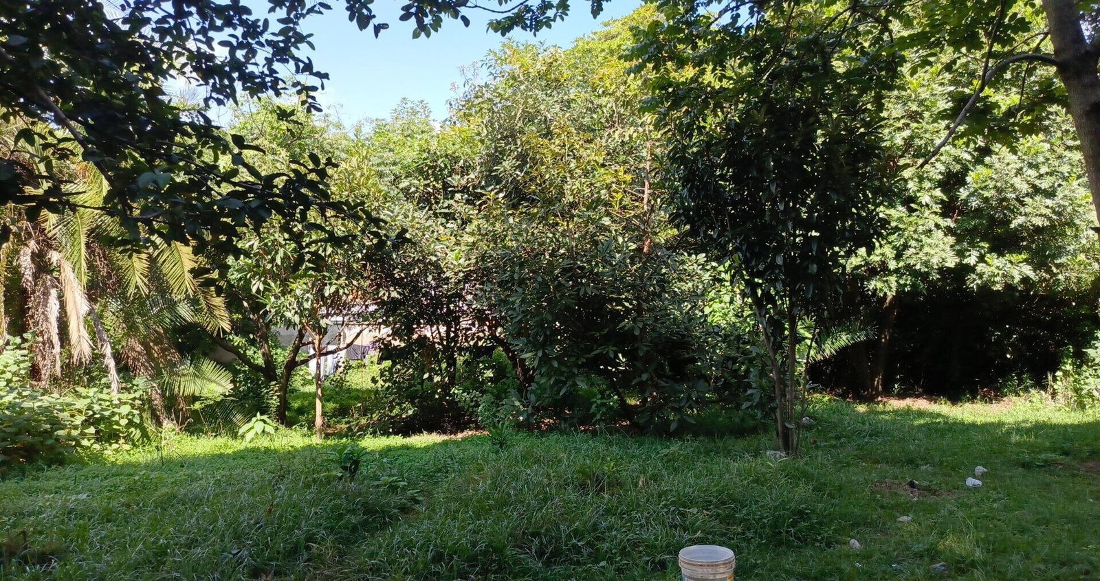 1-Acre Lavington Plot for KSh 270M