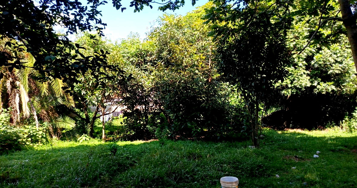 1-Acre Lavington Plot for KSh 270M
