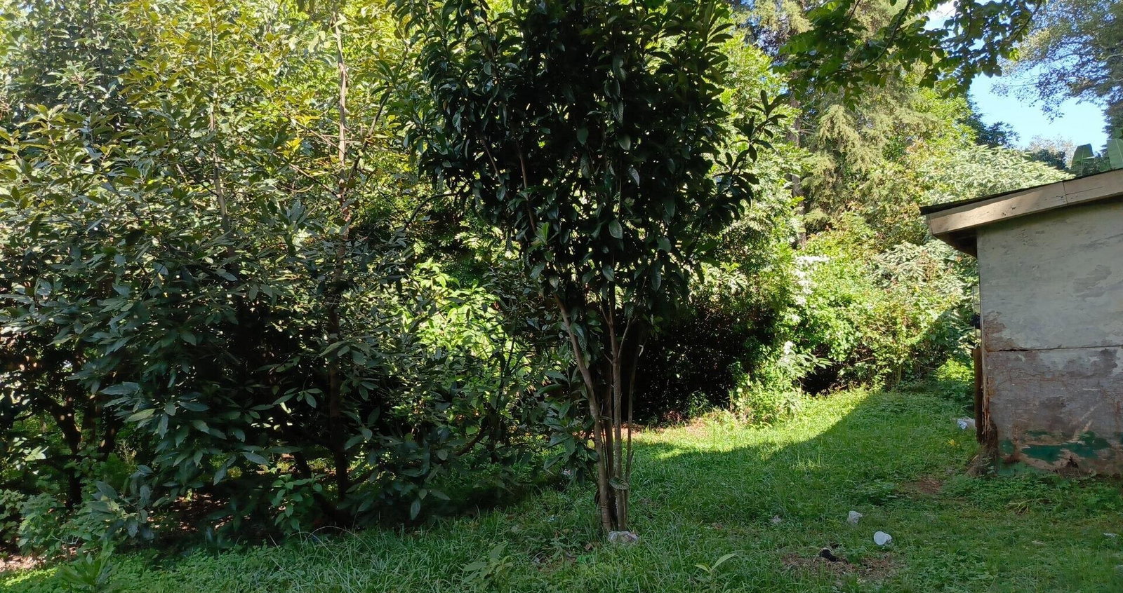 1-Acre Lavington Plot for KSh 270M