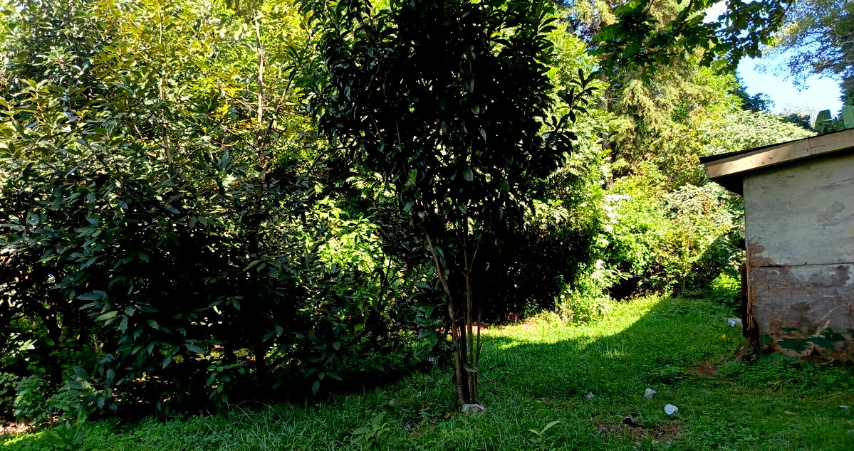 1-Acre Lavington Plot for KSh 270M