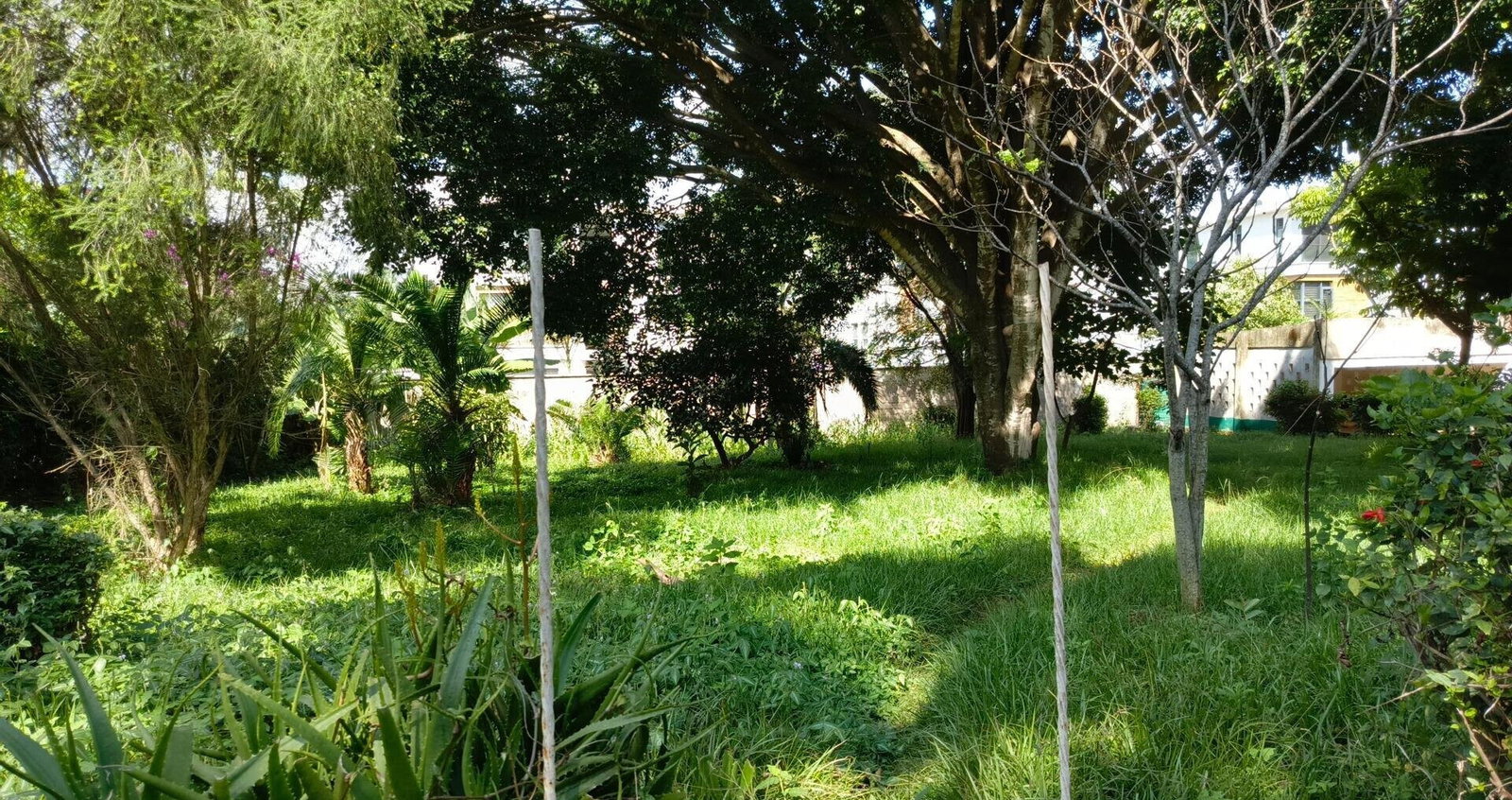 1-Acre Lavington Plot for KSh 270M