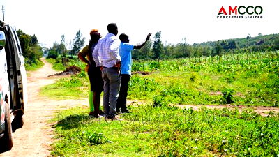 Kikuyu Prime Plots - Image 2