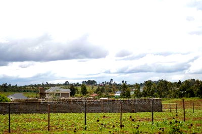Kikuyu Prime Plots - Image 1