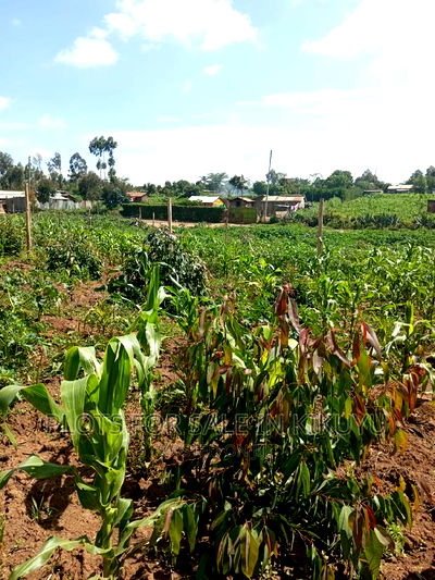Kikuyu Prime Plots - Image 4