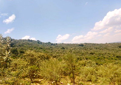 130-Acre Farm in Narok