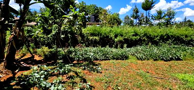 3bdrm Farm House in Kapseret for sale - Image 13