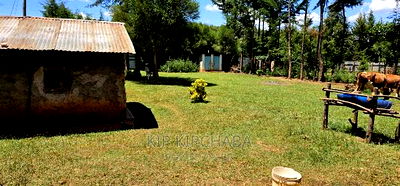 3bdrm Farm House in Kapseret for sale - Image 19