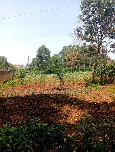 Prime Residential Plot in Kakamega - Image 4