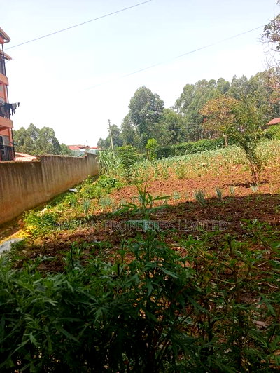 Prime Residential Plot in Kakamega - Image 1