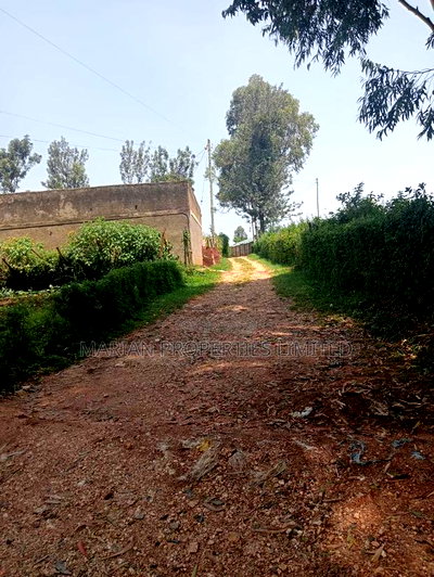 Prime Residential Plot in Kakamega - Image 3