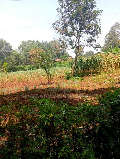 Prime Residential Plot in Kakamega - Image 2