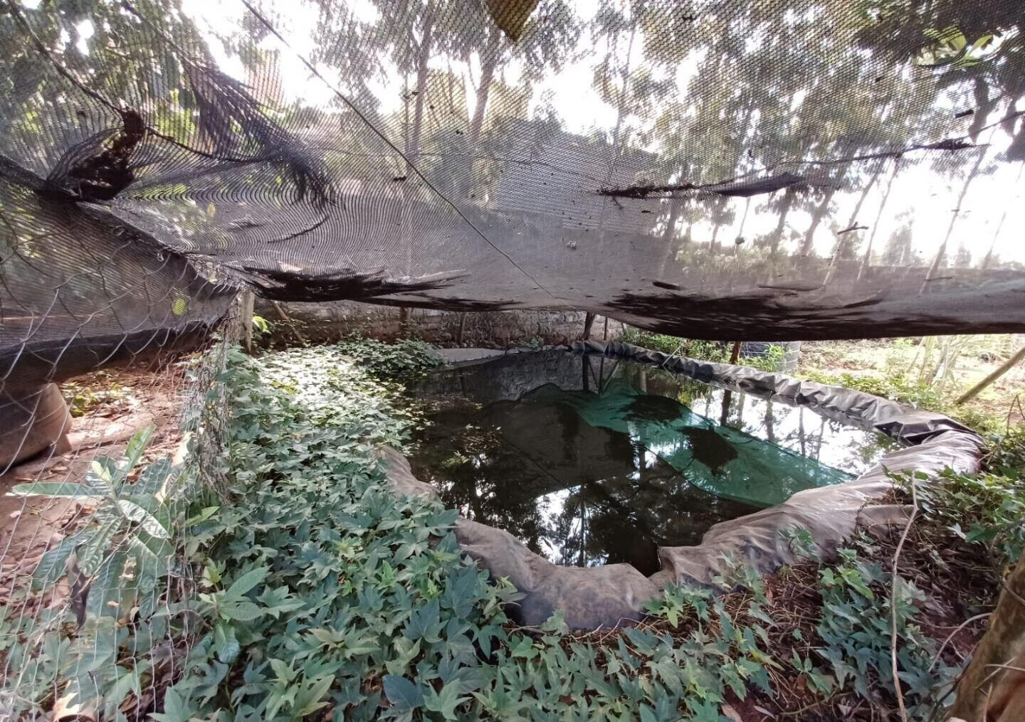 Quarter Acre Plot in Gated Community